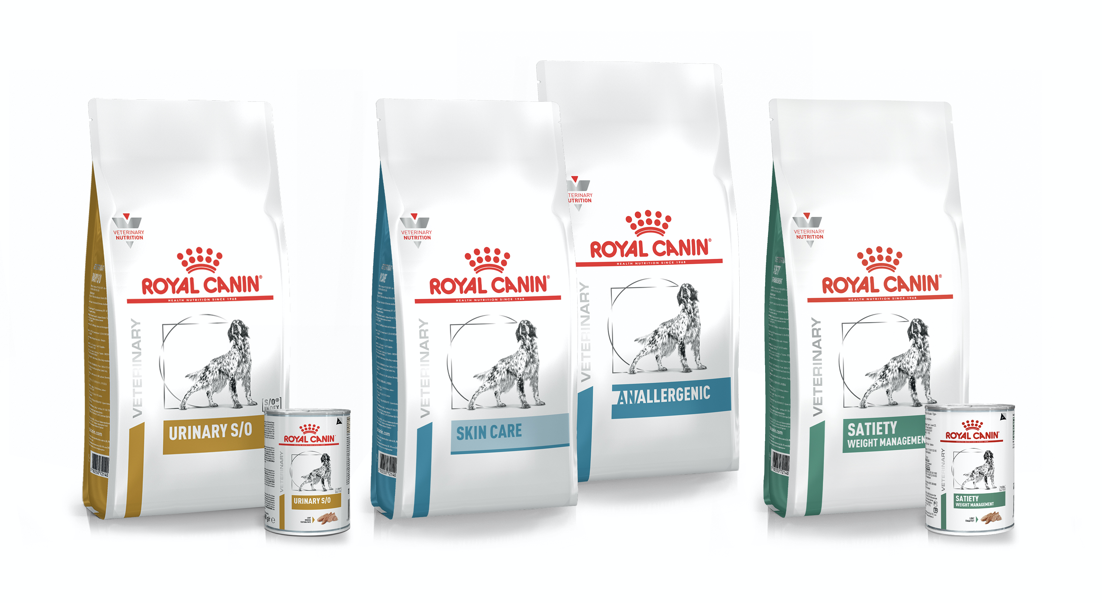hub pack shot dog retail
